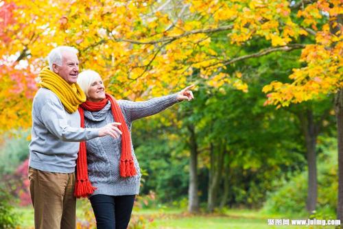 秋天树林里的老年夫妻图片