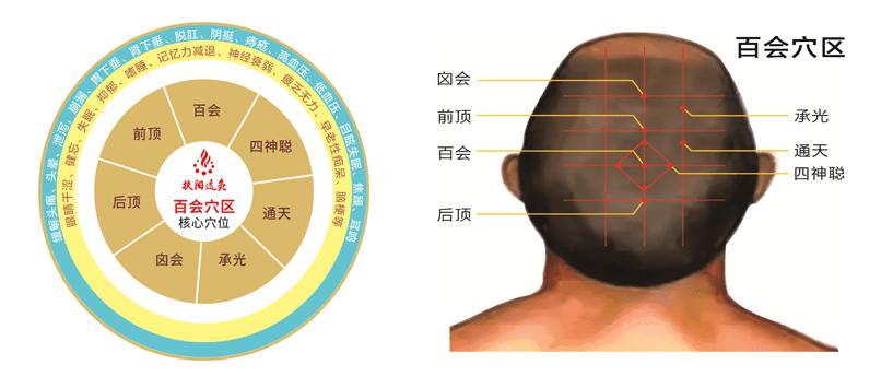百会穴区