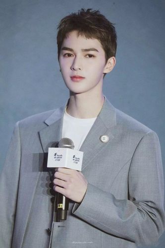 男生狗啃式短发