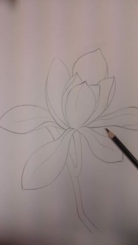 木兰画 