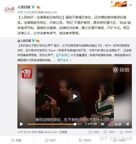 如何看待网红 saya一 涉嫌殴打孕妇一事?