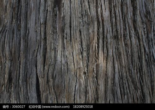 大榕树树皮贴图