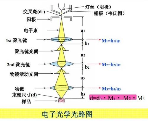 图为扫描电镜工作过程中光路示意图