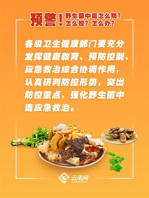海报|预警:野生菌中毒怎么防?怎么控?怎么办?