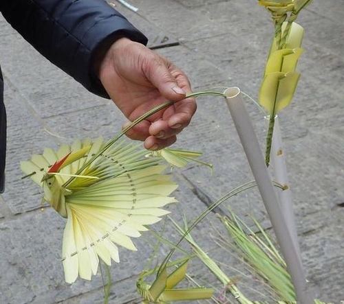 [手工家] 棕编教程教材棕树叶编织小动物传统手工艺长沙非遗文化新鲜