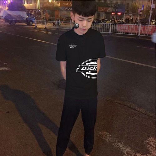 社会小伙短袖翻领男t恤精神修身半袖小衫快手红人网红