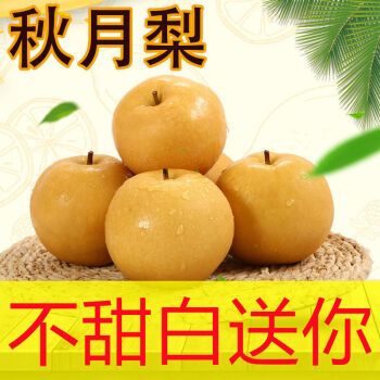山东莱阳正宗老树冰糖秋月梨脆甜多汁梨子新鲜水果莱阳梨黄金丰水