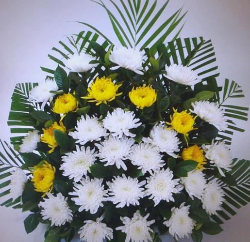 清明节与菊花文化的深意探讨