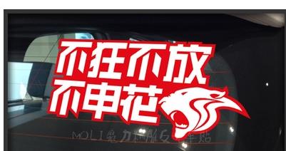 双色中超上海申花足球队 不狂不放不申花 反光车贴车尾贴