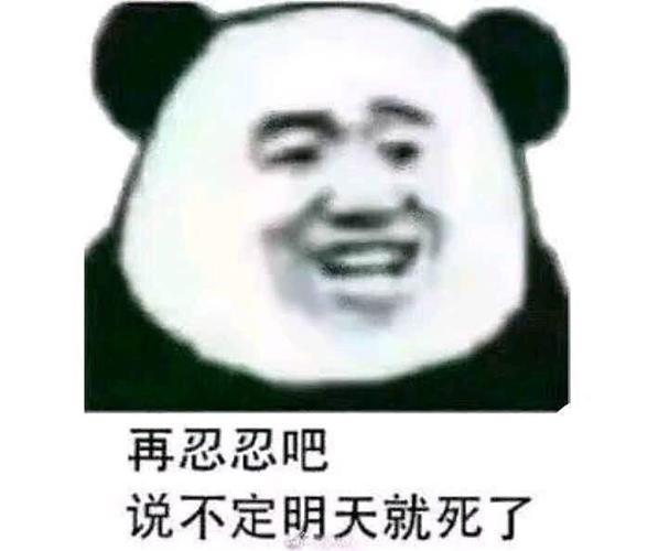 搞笑表情包 第二百五十二期
