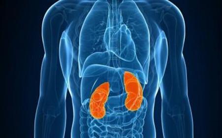 肾小球肾炎是种常见的肾炎病症它有哪些有别于其它肾炎的症状呢