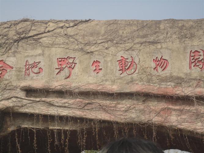 合肥野生动物园位于合肥市西郊风景秀丽的大蜀山西南麓,距市中心15km
