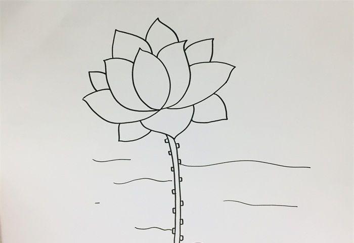 一步一步教我画荷花