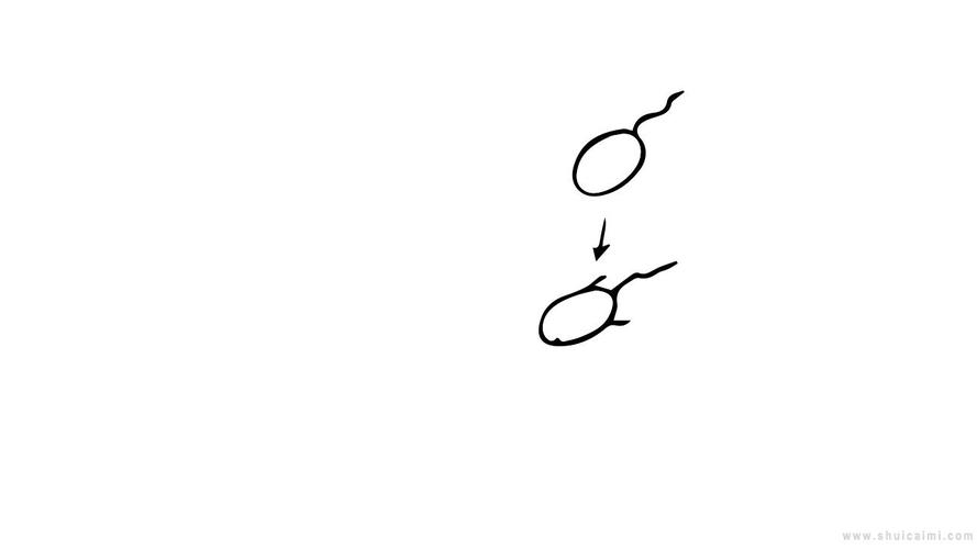 蝌蚪变青蛙简笔画怎么画蝌蚪变青蛙简笔画图片大全