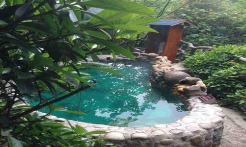 游玩景点天邑森林温