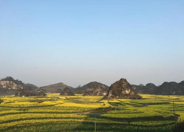 春暖花开 相约贵州六枝,六枝油菜花观赏旅游攻略
