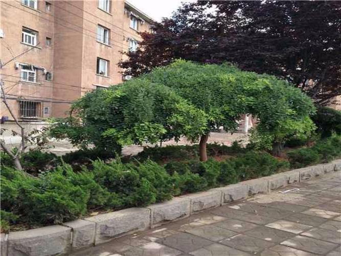 大连春柳小区(春柳街34-38号(双号))_春柳小区(春柳街