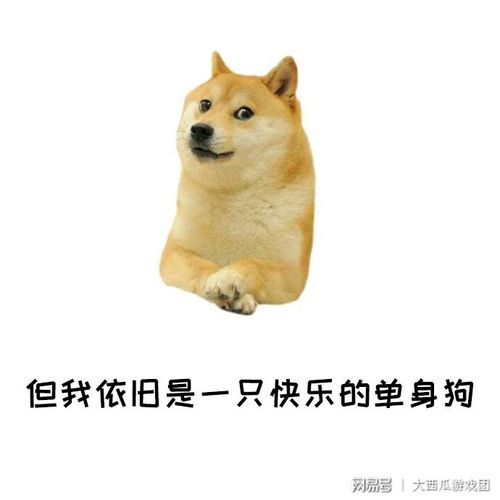 我们单身猪的口号就是:谈恋爱不如玩游戏!
