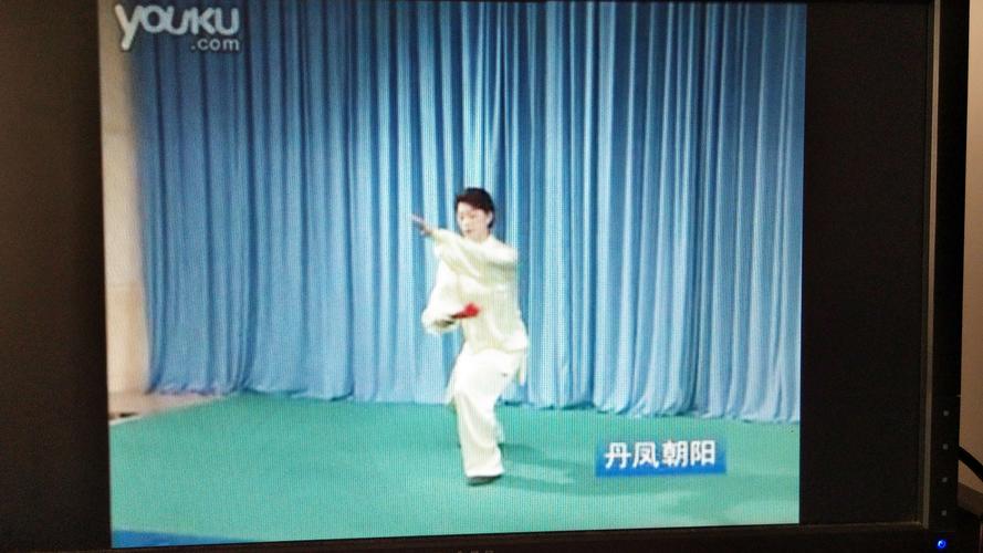 中级华武扇