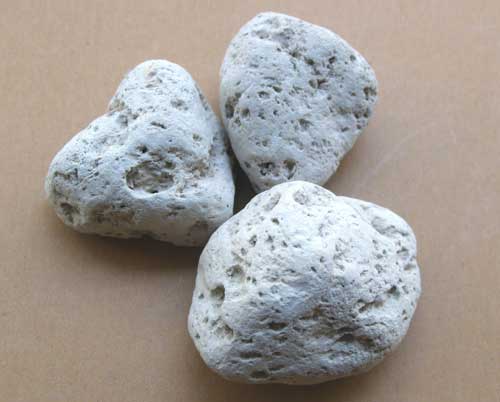 海浮石的简介,功效与作用及用法用量