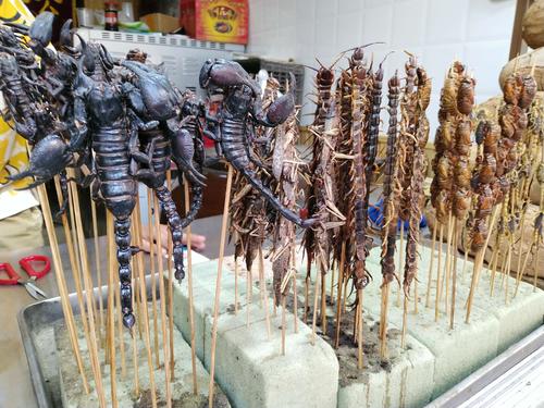 头一次看到这种巨型蝎子和巨型蜈蚣.