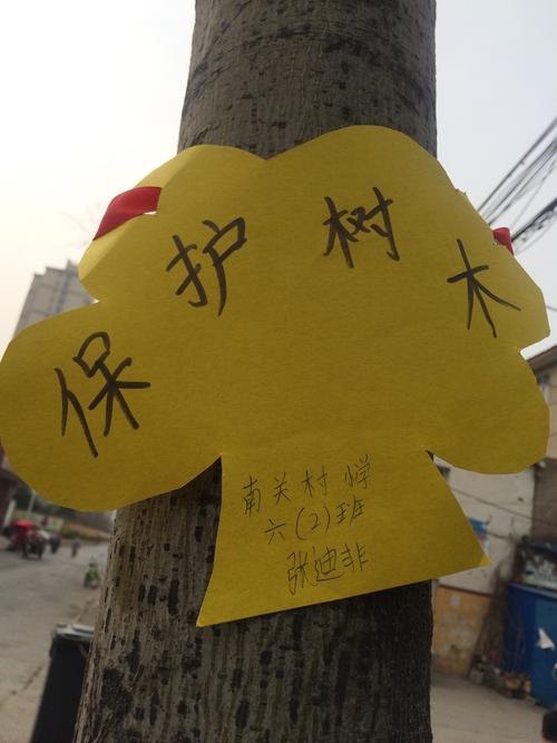 许昌市南关村小学六(2)班植树节爱树护树爱心卡寄语大自然活动