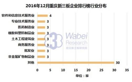 软件和信息技术服务业十大品牌,软件和信息技术服务业哪个品牌好