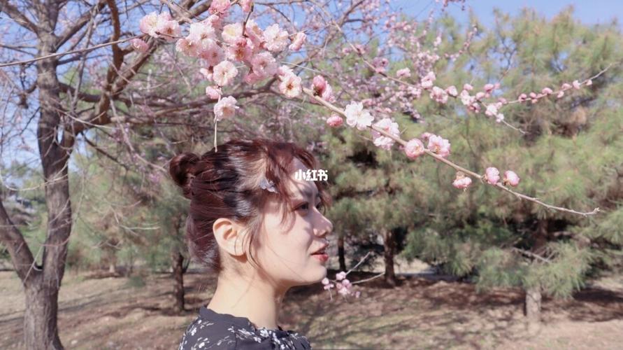 新出炉的美女与94_美女_河北农业大学_摄影_写真