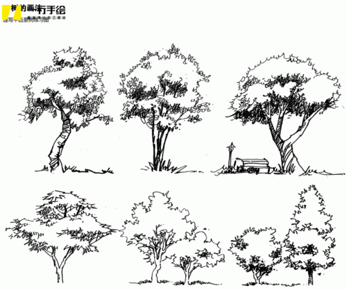 手绘配景的画法(草,花,树,水)画法教程步骤图