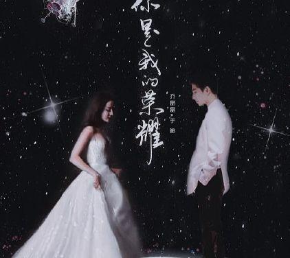 小说你是我的荣耀有哪些令你印象深刻的句子