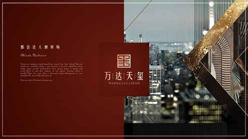 万达·天玺logo方案