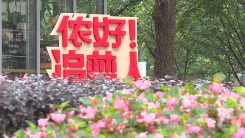 奋进百年正芳华都市频道展现上海追梦人风采