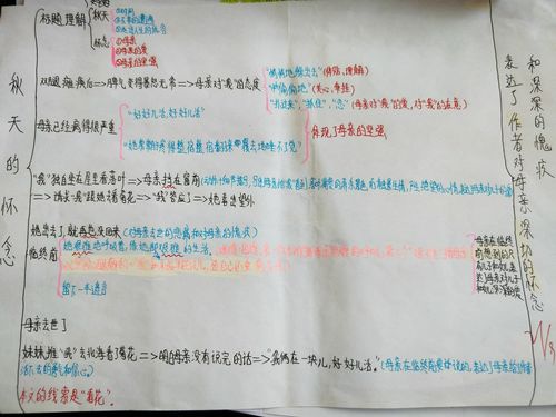 《秋天的怀念》思维导图
