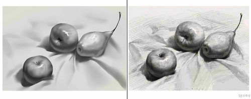 作业:从零开始学美术之水果素描静物的画法训练 - rh-9-177 木屑