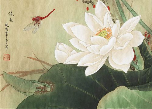 工笔画荷花图片