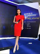 李玮主持2015"互联网 "中国行·浙江峰会