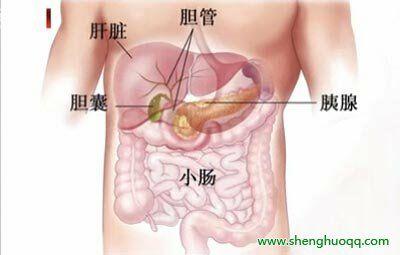 肚子痛?还发热?别怕,看看你是不是得胰腺炎了!