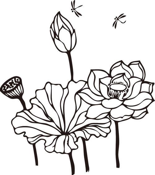 荷叶荷花简笔画儿童画