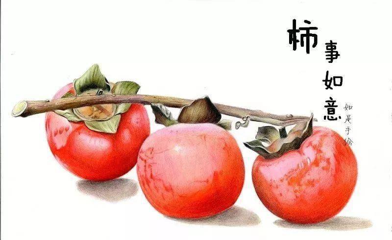 彩铅画入门教程 | 画个彩铅柿子,来年一定柿事如意