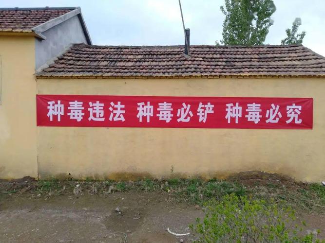 禁毒宣传:珍爱生命,远离毒品,从禁种罂粟做起!_种植