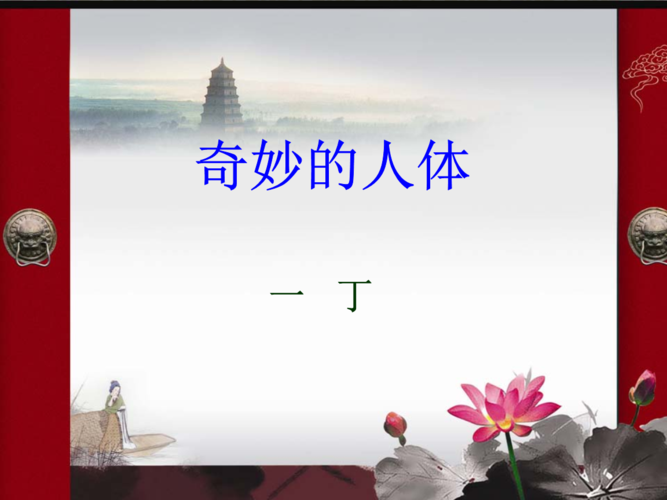 奇妙的人体课文讲解课件.ppt