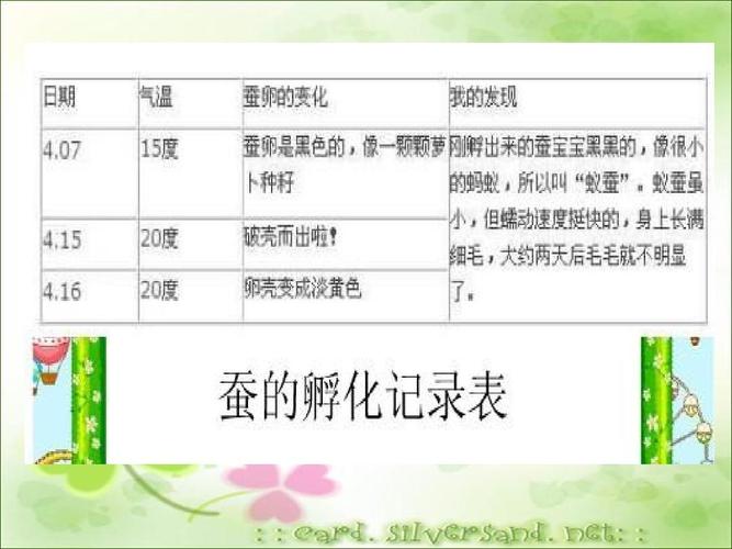 蚕卵里孵出的新生命(精改)ppt