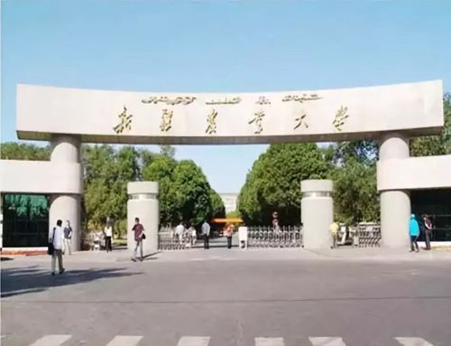 新疆农业大学