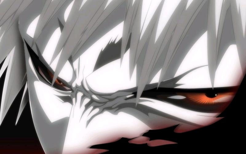 死神bleach—虚白(白一护)图片集