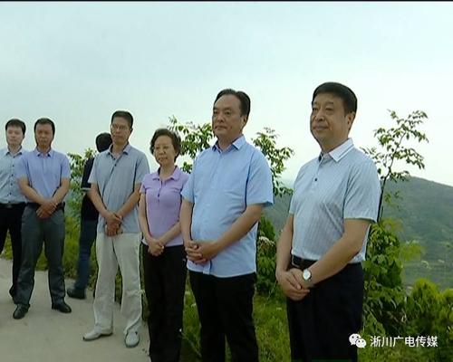 《淅川新闻》摘要