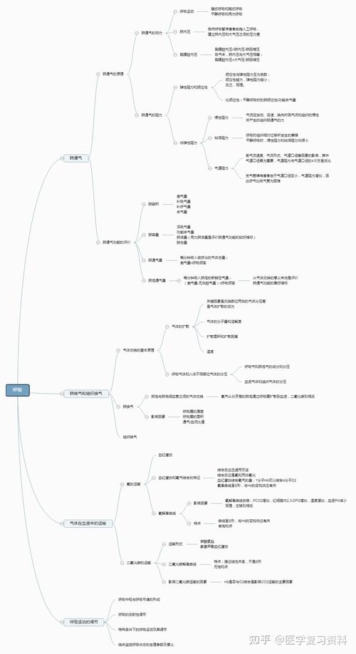 生理学思维导图