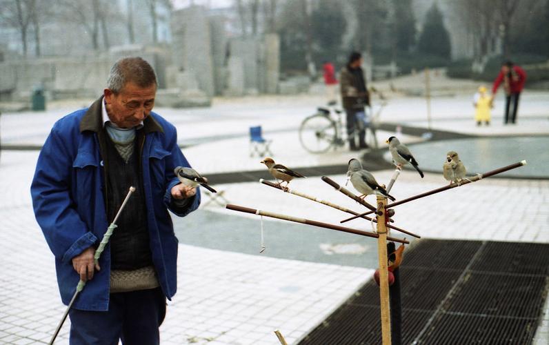 训鸟-1 br /> 畅春新园后的广场