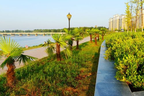 ┊举报 已投稿到: 排行榜 前一篇:泌阳市的彩礼-泌水湖生态湿地公园