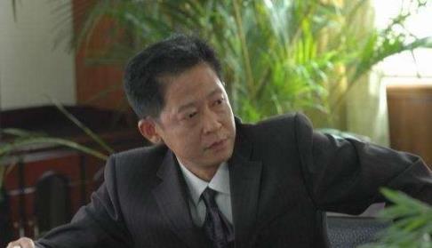 王志文主演的经典电视剧排行