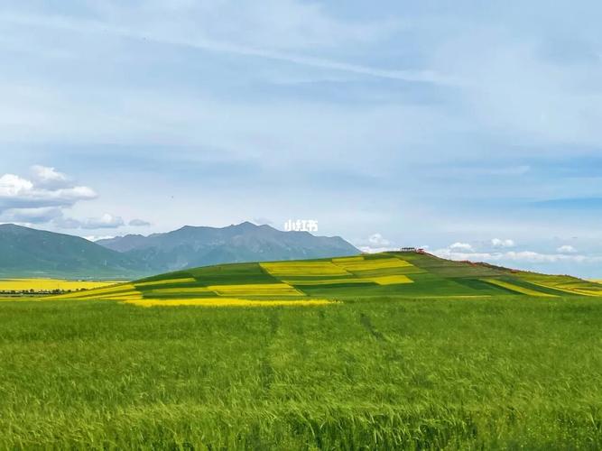 祁连山大草原(最美的风景都在路上)_景点_风景_草原_出行_人文风光